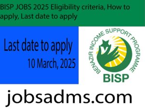 Bisp jobs 2025